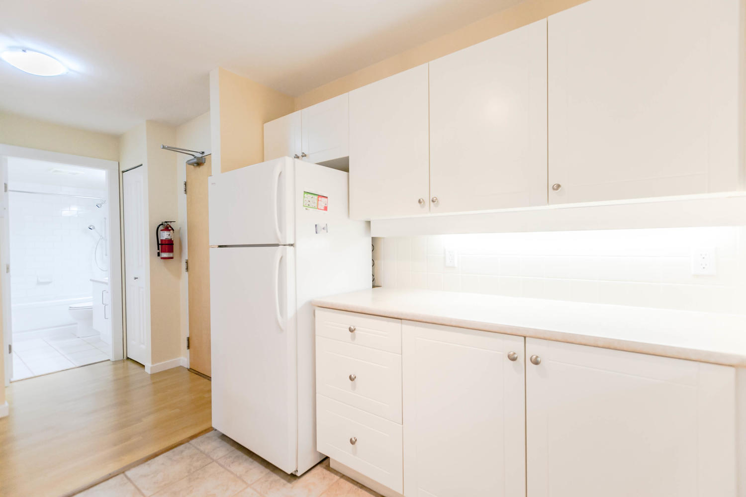 30118 Smokey Smith Place New Westminster Todd Conner Real Estate