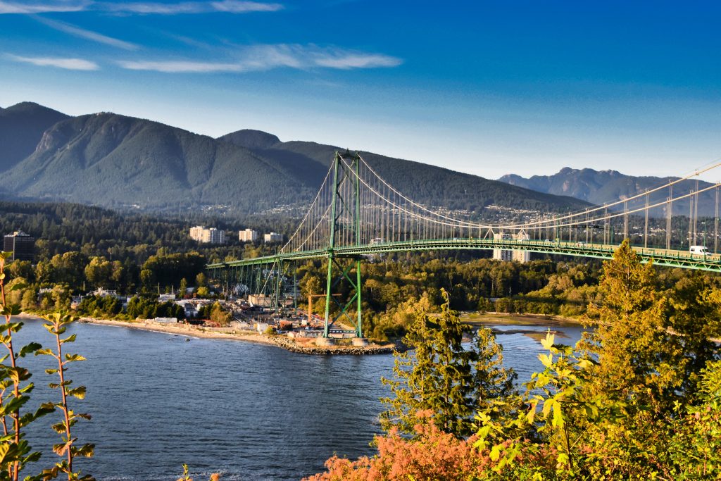 Real Estate Market Update | November 2022